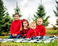 Samantha and Jackie's Family Xmas Session Dec 2020